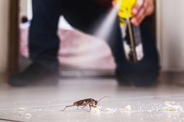 Best Exterminator Services  in Hendersonville, NC